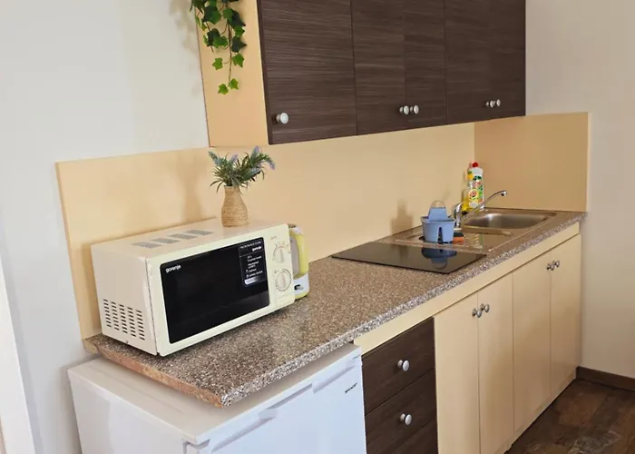 Kolmanic, Sea View, Free Privat Parking Apartament *