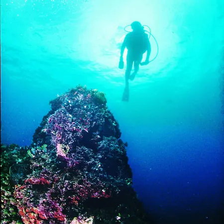 Kolmanic, Sea View, Free Privat Parking Ičići